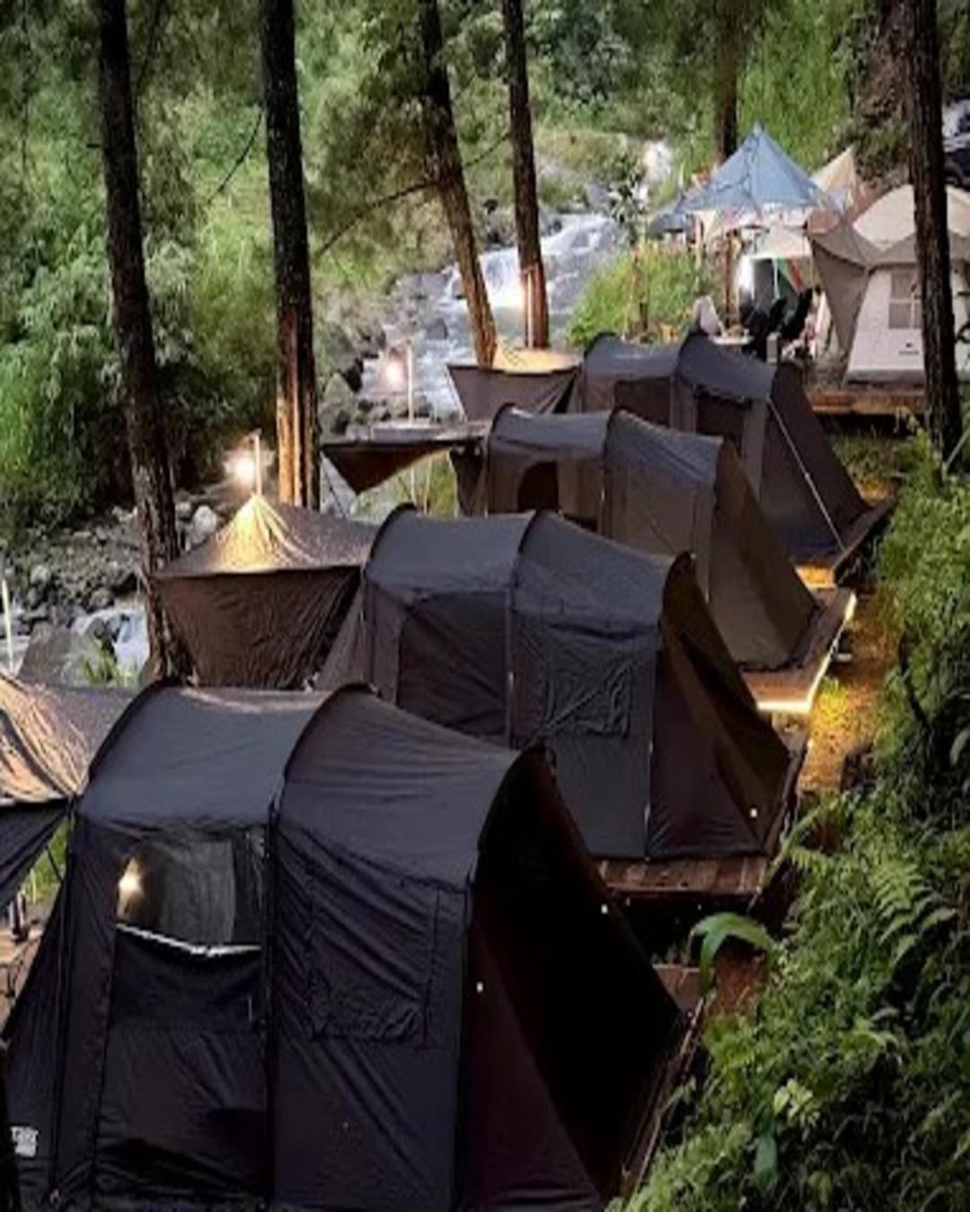 pinus-siampel-paninggaran-pekalongan-hutan-pinus-ngopi-campground-seru